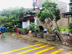 Hà Nội phát lệnh báo động lũ cấp 1 trên sông Hồng