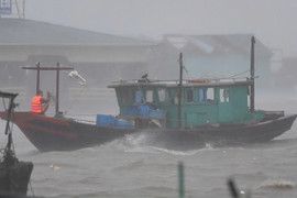 Hà Nội phát lệnh báo động lũ cấp 1 trên sông Hồng