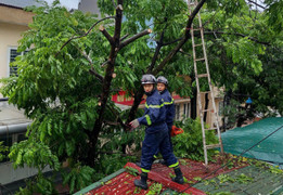 Hà Nội phát lệnh báo động lũ cấp 1 trên sông Hồng