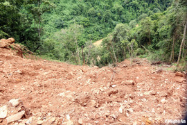 'Khẩn trương khắc phục hậu quả bão lũ, nhanh chóng ổn định đời sống Nhân dân'