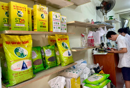 Gạo ST25 ào ạt tăng giá, mỗi kg cõng thêm 3.500 đồng