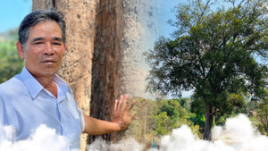 Dân làng bảo vệ rừng thiêng