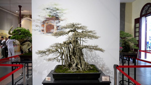 Ngắm từ trên cao những cây cầu ở Hà Nội bắc qua sông Hồng