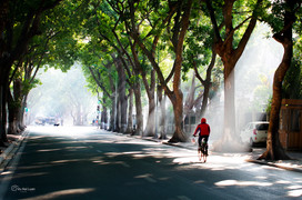 Dự báo thời tiết Hà Nội 10 ngày: Trời chuyển lạnh, nhiệt độ thấp nhất 16 độ C