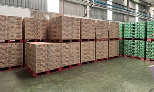 Thu giữ hơn 50 nghìn lon nước tăng lực nghi là hàng giả ở Bắc Ninh