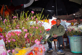 Thời tiết Tết Nguyên đán 2025: Hà Nội rét đậm, không mưa