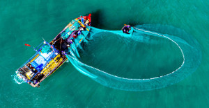 Ra khơi, bảo vệ ngư trường truyền thống là mệnh lệnh từ trái tim