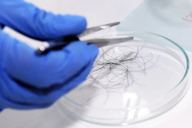 Bị trêu 'bé không giống bố', người đàn ông bí mật mang tóc con xét nghiệm ADN