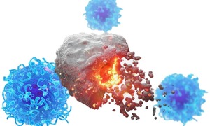 Mỹ phát triển vaccine hiệu quả với 4 loại ung thư