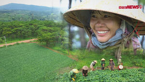 Nông nghiệp Net Zero: Biến rau vườn thành đặc sản xuất khẩu