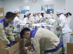 215 sản phẩm trong đường dây sữa giả 'khai sinh' ở Vĩnh Phúc