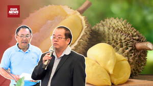 Kim loại nặng khiến xuất khẩu sầu riêng Việt lao đao: Nguy cơ mất thị trường tỷ đô