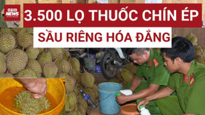 Kim loại nặng khiến xuất khẩu sầu riêng Việt lao đao: Nguy cơ mất thị trường tỷ đô