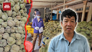 Kim loại nặng khiến xuất khẩu sầu riêng Việt lao đao: Nguy cơ mất thị trường tỷ đô