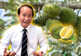 Kim loại nặng khiến xuất khẩu sầu riêng Việt lao đao: Nguy cơ mất thị trường tỷ đô