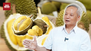 Kim loại nặng khiến xuất khẩu sầu riêng Việt lao đao: Nguy cơ mất thị trường tỷ đô