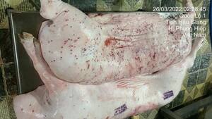 Bị tố bán thịt heo bẩn, Công ty C.P. Việt Nam lên tiếng