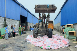 Quảng Ninh tiêu hủy gần 2.000 gấu bông Baby Three chứa chất độc hại