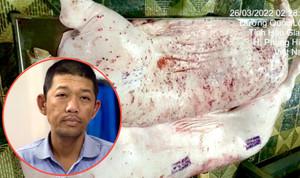 Vụ tố Công ty C.P. bán thịt heo bẩn: Thông tin mới nhất