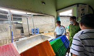 C.P. Việt Nam thừa nhận hình ảnh heo bệnh được chụp tại lò mổ gia công cho công ty