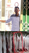 Vụ tố Công ty C.P. bán thịt heo bẩn: Thông tin mới nhất
