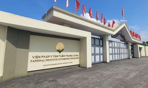 Bệnh nhân trốn viện tâm thần, mở tiệc ma tuý bên bãi biển