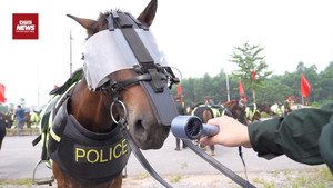 Bí kíp làm mát thần tốc tại thao trường cho 'chiến mã' diễu binh 2/9