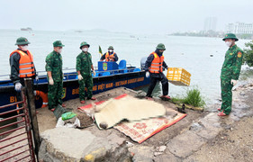 Quảng Ninh thực hiện loạt giải pháp để không tái diễn thảm họa lật tàu Vịnh Xanh