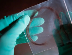 Bị trêu 'bé không giống bố', người đàn ông bí mật mang tóc con xét nghiệm ADN