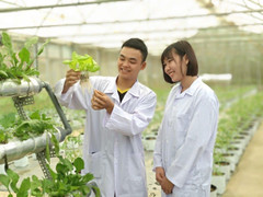 Đề khó, điểm thi thấp, vì sao điểm chuẩn các trường đại học phía Nam lại cao?