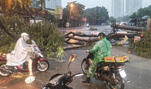 Chuyên gia: Bão số 5 Kajiki mạnh lên cấp 14, có thể tương đương bão Yagi khi đổ bộ