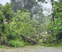 Bão số 5 quật đổ nhiều cột điện, gần 400.000 khách hàng ở Hà Tĩnh mất điện