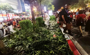 Nếu không thể văn minh thì đừng ra đường xem diễu binh