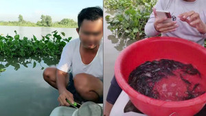 Khi Đức Phật khất thực ở nơi người dân oán hận nghĩ ngài gây nạn đói