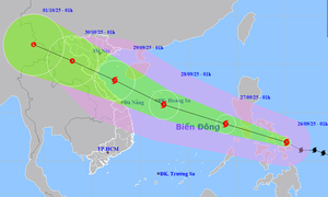 Tang thương sau bão Bualoi: 240 ngôi nhà đổ sập, 9 người chết ở Ninh Bình
