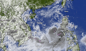 Tang thương sau bão Bualoi: 240 ngôi nhà đổ sập, 9 người chết ở Ninh Bình