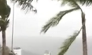 Tang thương sau bão Bualoi: 240 ngôi nhà đổ sập, 9 người chết ở Ninh Bình