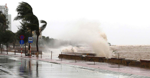 Tang thương sau bão Bualoi: 240 ngôi nhà đổ sập, 9 người chết ở Ninh Bình