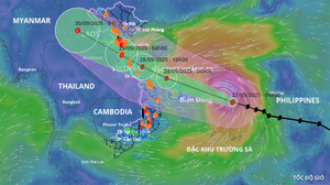 Tang thương sau bão Bualoi: 240 ngôi nhà đổ sập, 9 người chết ở Ninh Bình