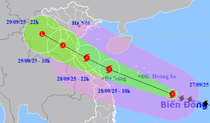 Tang thương sau bão Bualoi: 240 ngôi nhà đổ sập, 9 người chết ở Ninh Bình