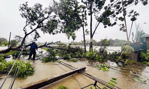 Tang thương sau bão Bualoi: 240 ngôi nhà đổ sập, 9 người chết ở Ninh Bình
