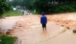 Tang thương sau bão Bualoi: 240 ngôi nhà đổ sập, 9 người chết ở Ninh Bình