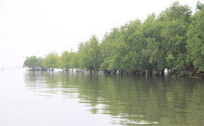 Hưng Yên vươn ra biển lớn để 'cất cánh' trong kỷ nguyên vươn mình của dân tộc