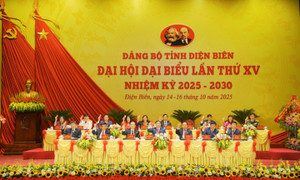 Lãnh đạo không phải người địa phương: Phòng ngừa tha hóa, bảo vệ cán bộ khỏi quan hệ thân tộc