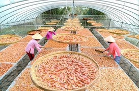 Loạt thủy hải sản độc lạ sắp ra mắt tại Hội chợ mùa Thu 2025