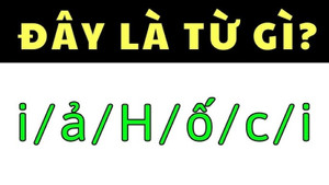 Vua Tiếng Việt mới tìm được đáp án chính xác cho câu hỏi này