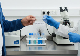 Bị trêu 'bé không giống bố', người đàn ông bí mật mang tóc con xét nghiệm ADN