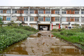 Hiện trạng khu chợ bỏ hoang hơn 10 năm được đề xuất cải tạo thành nhà ở xã hội