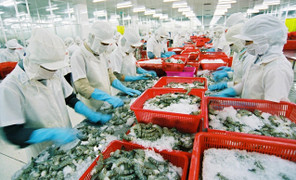 Không được nghỉ cuối tuần, doanh nghiệp thủy sản chật vật tuyển lao động