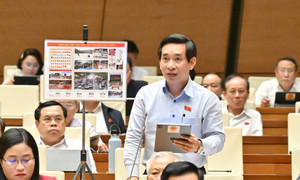 ĐBQH: Đỗ xe từ sáng tới chiều trước cửa nhà dân là không hợp lý